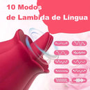 Simulador Rosa de oral