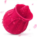 Simulador Rosa de oral